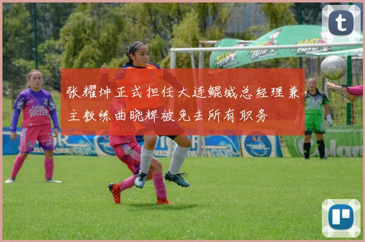 张耀坤正式担任大连鲲城总经理兼主教练曲晓辉被免去所有职务