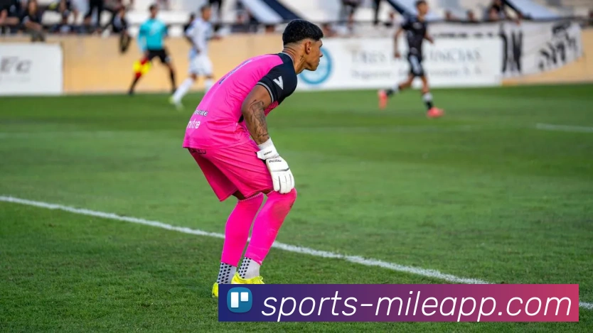 米乐体育平台生态图